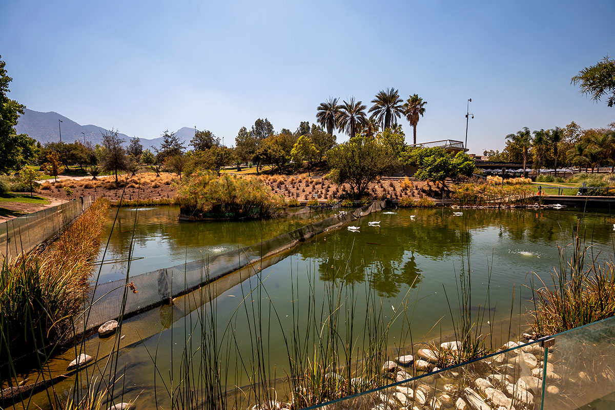 Parque Bicentenario